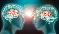 Brain Sex or Neuro Nonsense?