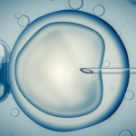 Fertility Education Rather than Publicly Funded IVF